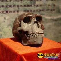 “北京人头盖骨”化石之谜，“北京人”头盖骨下落至今未解