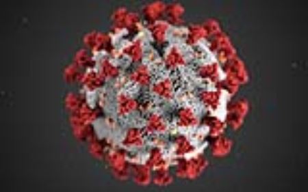 新冠病毒感染人数超SARS10倍，儿童与成人一样容易被感染