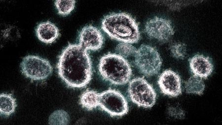 新冠病毒可在部分物体表面存活3天，轻度感染者10天后或已不具有传染性