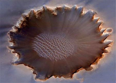 从地球1.46亿公里外传回的照片, 或许可以证明: 火星上存在生命!
