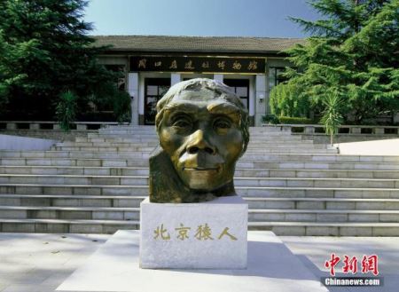 资料图：北京房山区，周口店遗址博物馆前的北京猿人铜像。 谭明 摄 图片来源：CTPphoto
