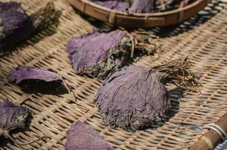 紫苏全身都是宝！家里种一盆，解毒、驱寒、防感冒