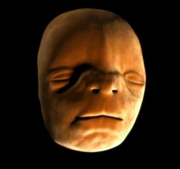 人类面孔如何形成？英国拍摄胎儿面部发育过程