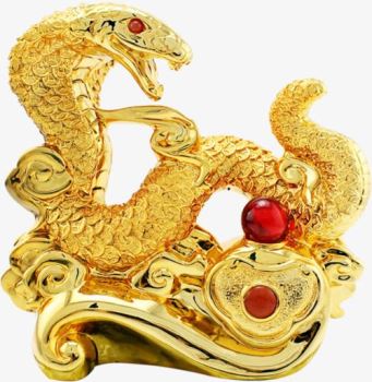 金色蛇大全 金色蛇是啥品种