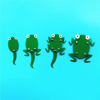 小蝌蚪变青蛙 小蝌蚪变成青蛙的故事