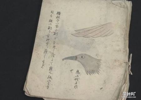 册子内绘有鸟形构想。