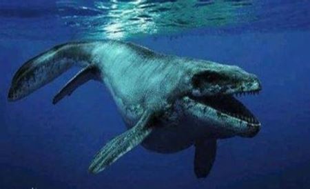 远古鲨鱼十大排行 比巨齿鲨更厉害的鲨鱼