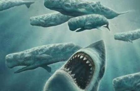 远古鲨鱼十大排行 比巨齿鲨更厉害的鲨鱼