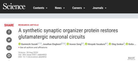 Science：神经回路有问题，合成蛋白来修复