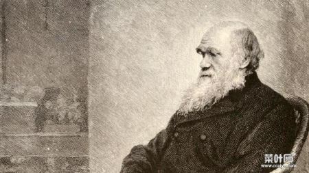 达尔文提出所有生命都是由同一个祖先演化而来的