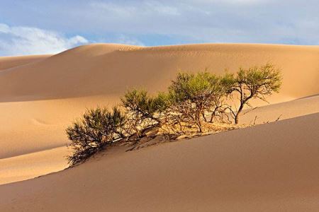 地球四大沙漠排名，撒哈拉沙漠摘得冠军