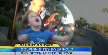 开心逛海洋全球公园，8岁女童竟惨遭海豚狠咬手！（图／翻摄自ABC News）