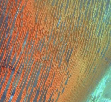 组图：卫星拍到撒哈拉沙漠诡秘“彩虹沙丘”