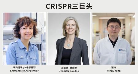 2020诺贝尔化学奖花落“基因剪刀”，张锋错失诺奖，CRISPR三巨头“恩怨”落幕？