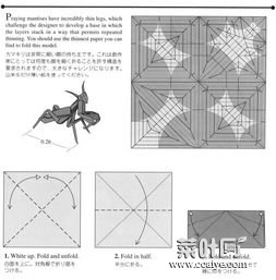 高级折纸螳螂图解 折纸王子折螳螂