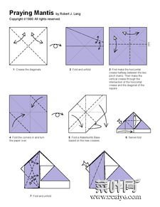 高级折纸螳螂图解 折纸王子折螳螂