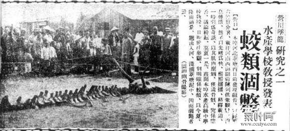 1934年辽宁营口坠龙事件，诡秘龙骨竟被日本抢了去