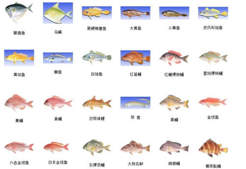 海鱼的种类有哪些 市场常见海鱼名称图片