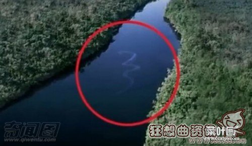 贵州挖出4吨大蛇 工地挖出50具僵尸
