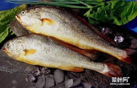 中国最贵的四种鱼，吃过一种就算是土豪了