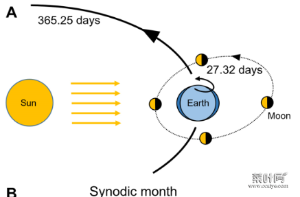 月经周期难道是“天人合一”？Science子刊探讨月球周期对月经周期的影响