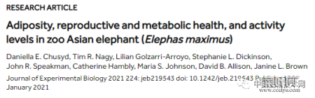 得好好减肥了！新研究发现：原来，我们很多人比大象还要“胖”...