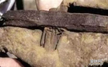 四亿年前的铁锤原因 四亿年前真的有铁锤存在吗
