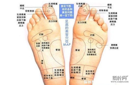 脚的各个部位详细图图解，红叶网，这些部位不正常的需要注意了