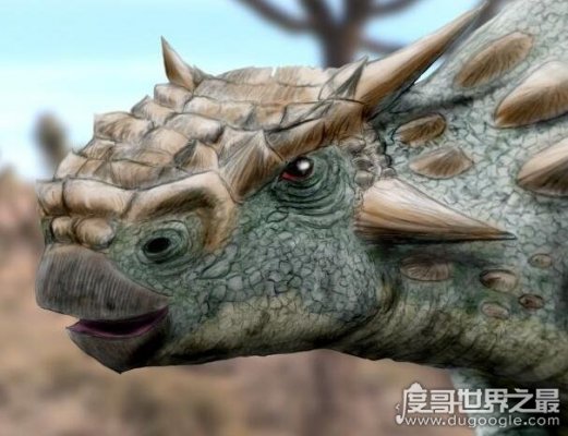 史前牛头怪甲龙，化石发现于蒙古戈壁沙漠(是种新类型三角龙)