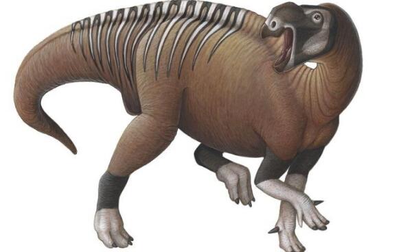 木他龙：澳大利亚大型食草三角龙（长7米,距今9750万年前）