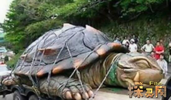 1965年黄河巨龟事件原因解析，村民吃了后肠穿肚烂上吊而死