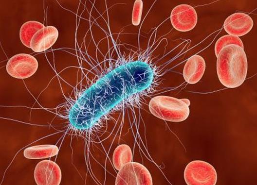 十大最可怕细菌排行榜，结核分枝杆菌是全球性的问题，链球菌会导致炎症