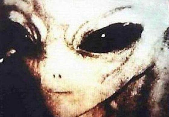 巴西亚马逊外星人事件是真是假?研究人员分析出结果