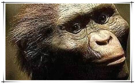 地球上第一个人是哪位，20岁的女猿人露西（距今320万年）