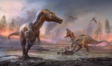 英国怀特岛发现的“鳄鱼”头骨化石属于两个棘龙新生物