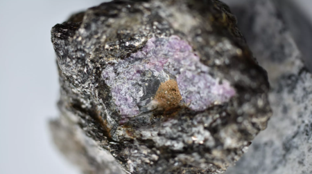 来自格陵兰岛的25亿年前红宝石中发现古代生命的证据
