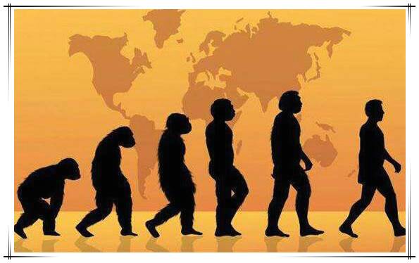 地球上第一个人是哪位，20岁的女猿人露西距今320万年