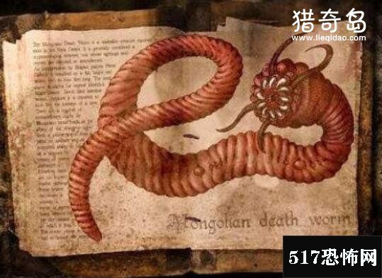 蒙古死亡之虫，喷射毒液的巨型怪物(能腐蚀金属)