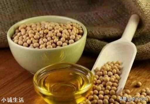 黑龙江大豆收购价格创近5年新高，是什么原因？还会继续走高吗？
