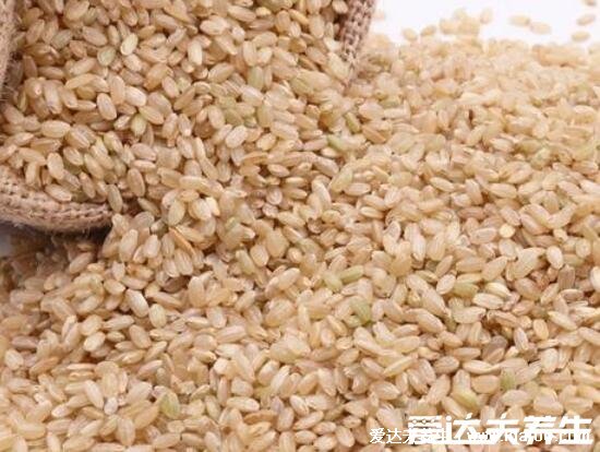 糙米如何吃，试试五色糙米的做法注意糙米和水比例1：1.2