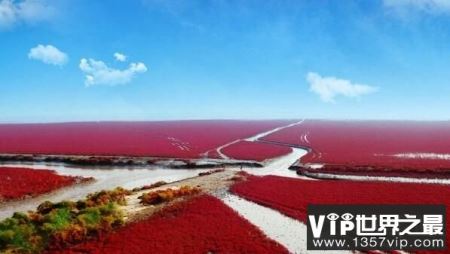 世界上最年轻的海：红海，形成于2千万年前海水呈红色