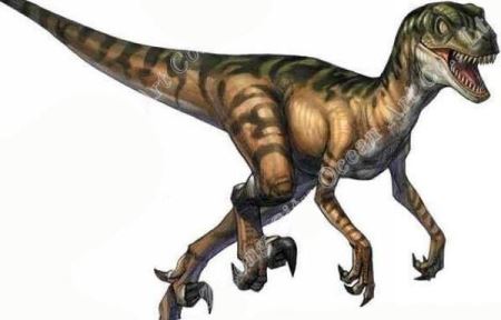 盗暴龙：形似霸王龙的小型食肉恐龙长3米/辽宁出土