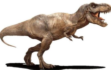 盗暴龙：形似霸王龙的小型食肉恐龙长3米/辽宁出土