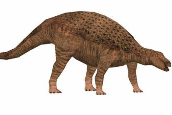 结节龙:北美中型恐龙长有层状板甲/没有尾锤