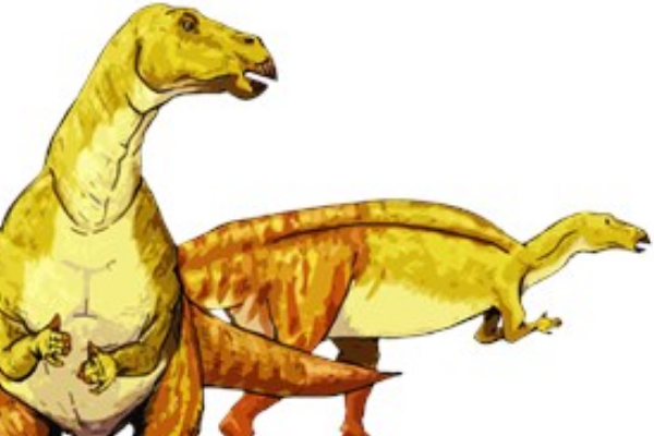 南阳龙:中型植食恐龙长5米/最原始鸭嘴龙超科