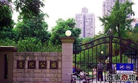 上海普陀公园之阴阳街 无法幸免车祸的乱葬岗