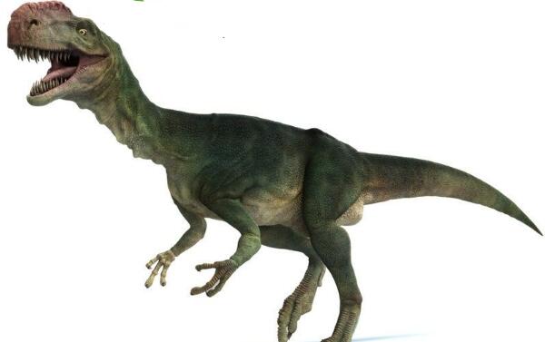 单脊龙：新疆中型食肉恐龙长5米/距今1.7亿年前