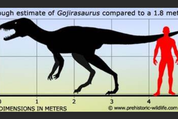 大型食肉恐龙:哥斯拉龙 体长5.5米三叠纪顶级掠食者