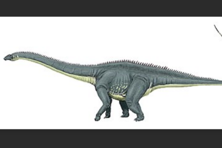 北美首批蜥脚三角龙：糙节龙 身长14米诞生于侏罗纪末期