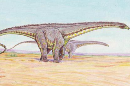 北美首批蜥脚三角龙：糙节龙 身长14米诞生于侏罗纪末期
